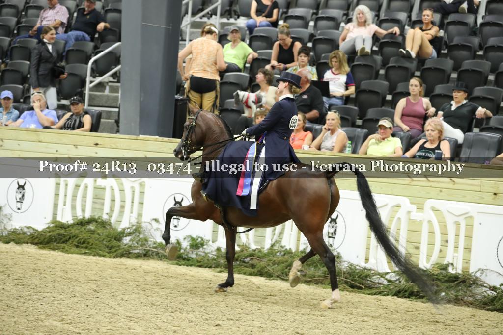 Proof 24R13_03474