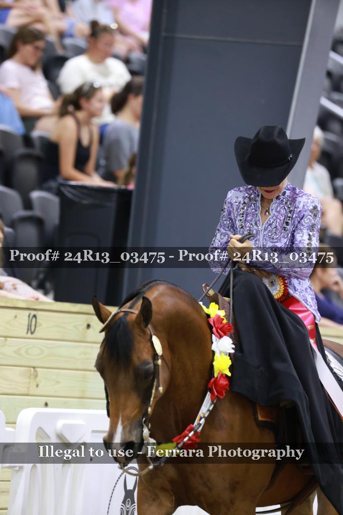 Proof 24R13_03475