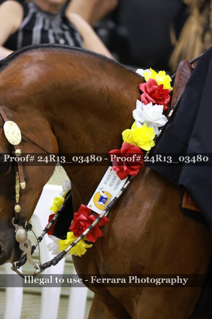 Proof 24R13_03480