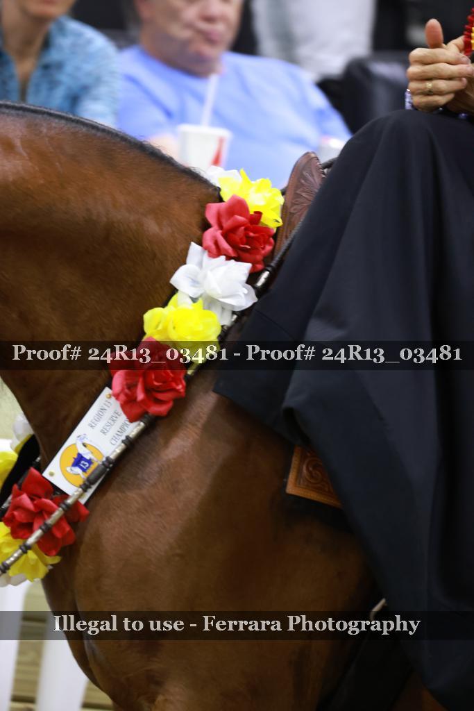 Proof 24R13_03481