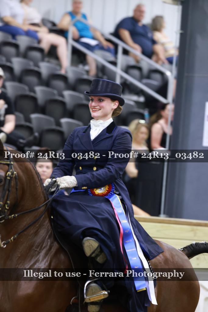 Proof 24R13_03482