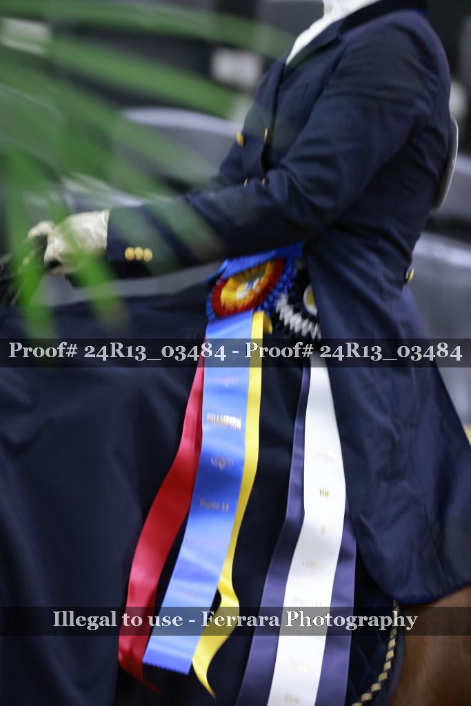 Proof 24R13_03484