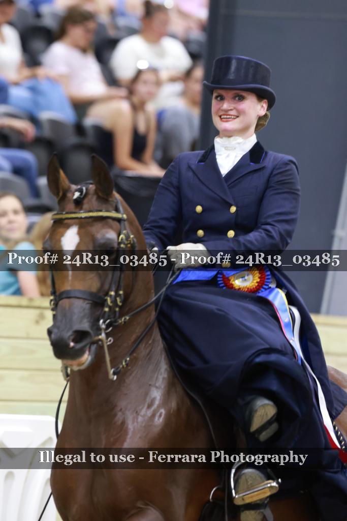 Proof 24R13_03485
