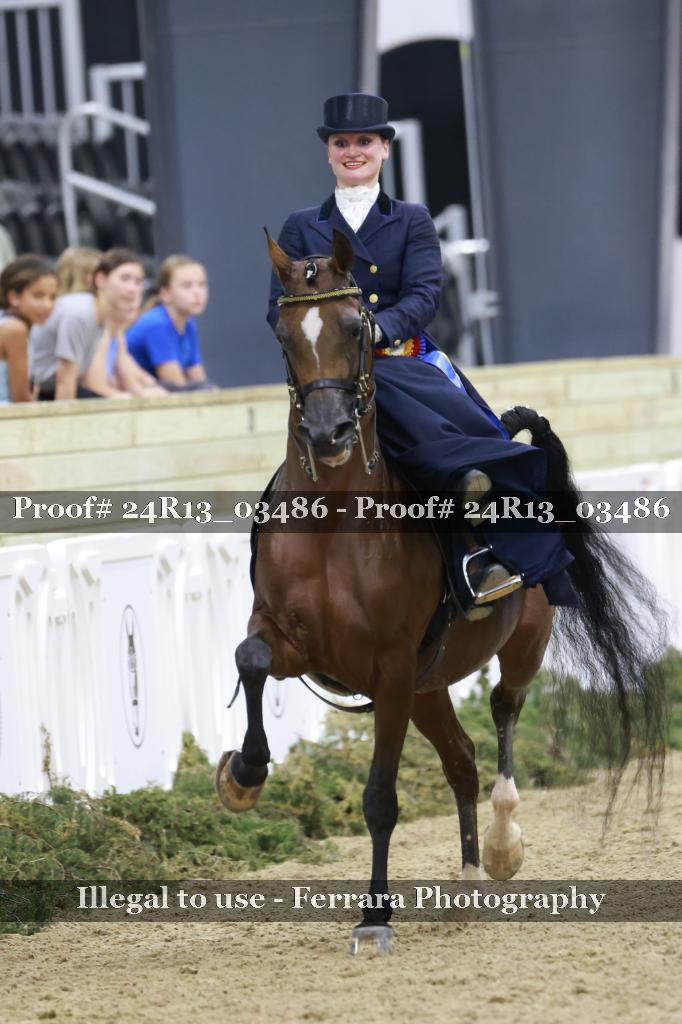 Proof 24R13_03486