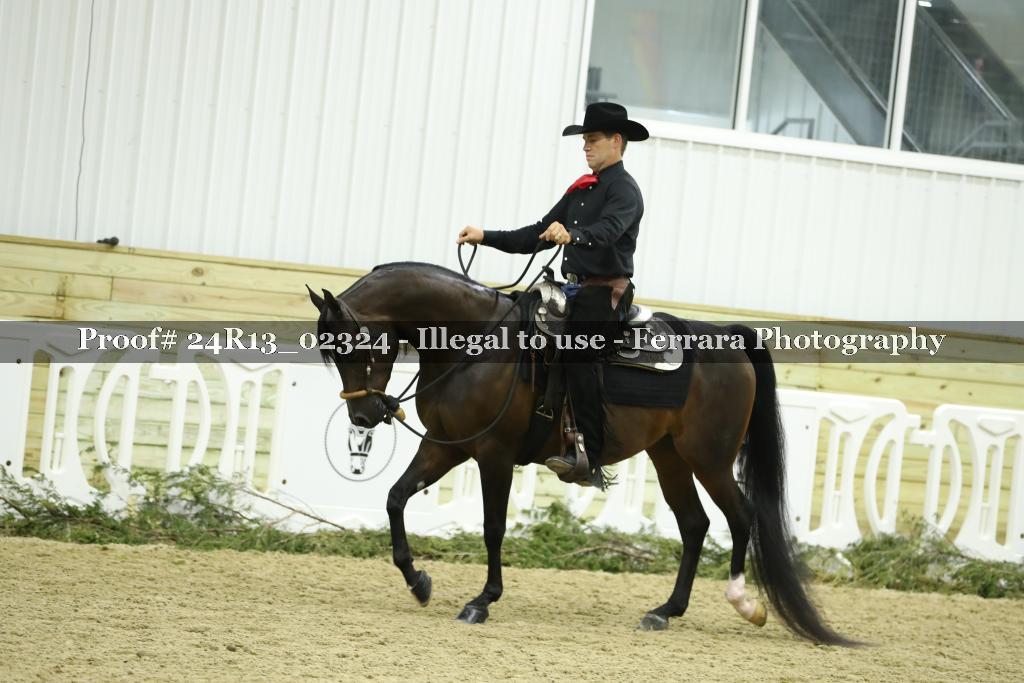 Proof 24R13_02324