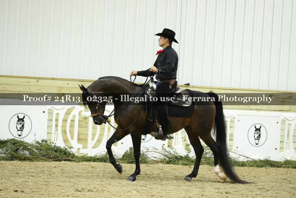Proof 24R13_02325