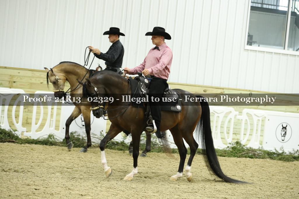 Proof 24R13_02329