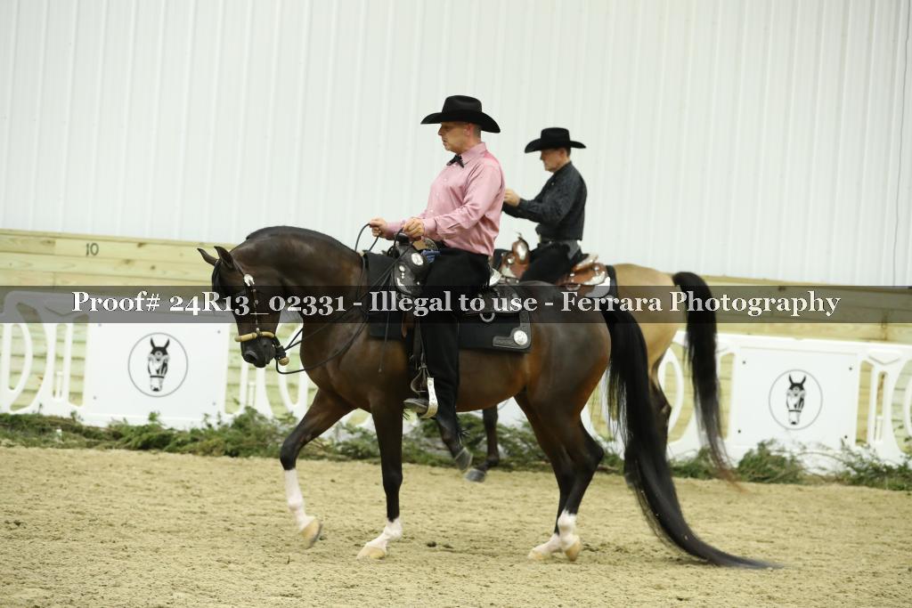 Proof 24R13_02331