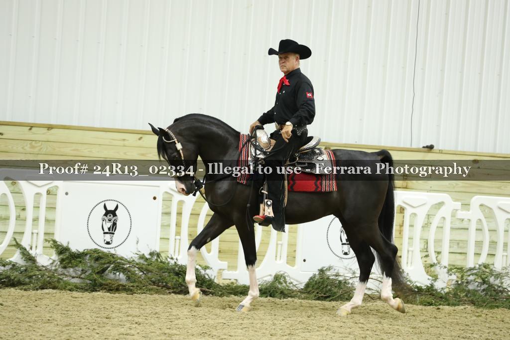 Proof 24R13_02334