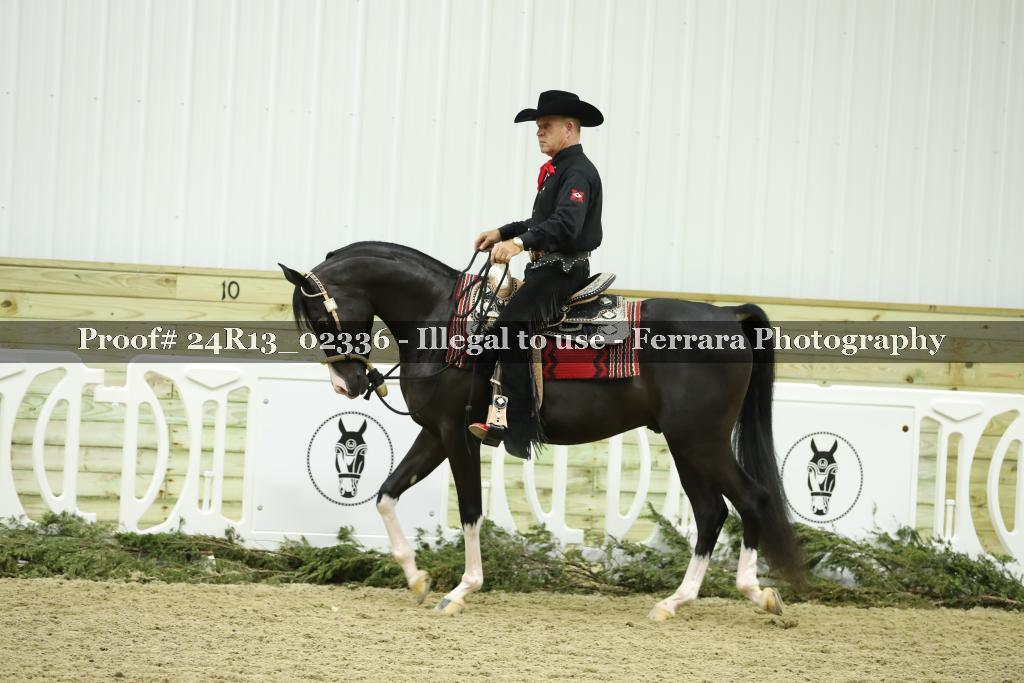 Proof 24R13_02336