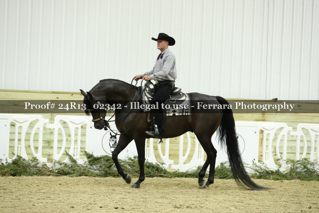 Proof 24R13_02342