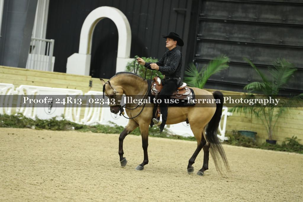 Proof 24R13_02343