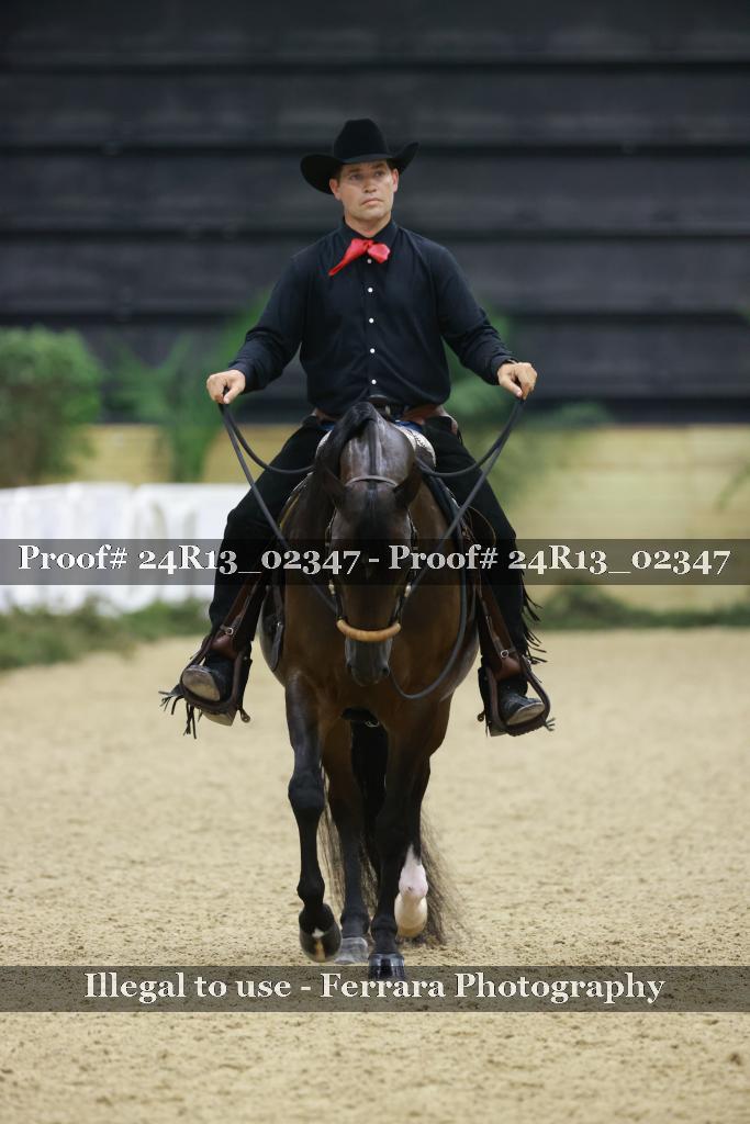 Proof 24R13_02347