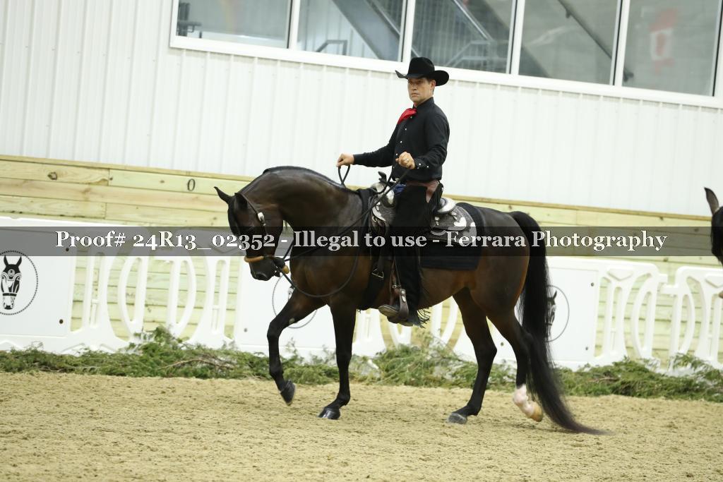 Proof 24R13_02352