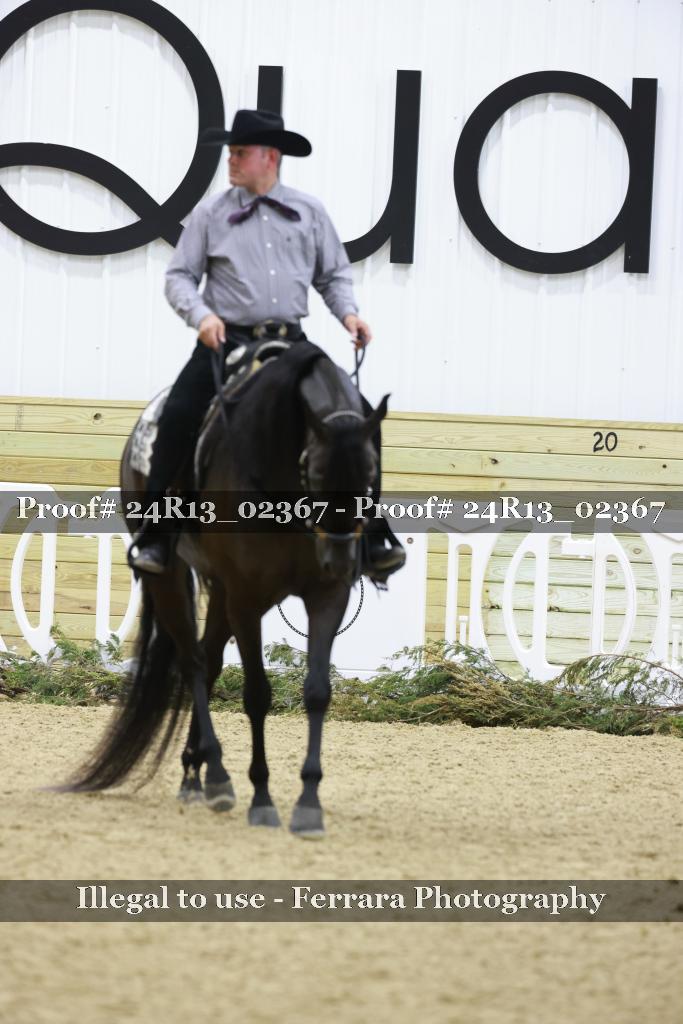 Proof 24R13_02367