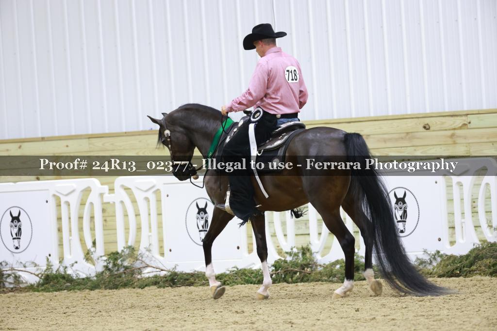 Proof 24R13_02377