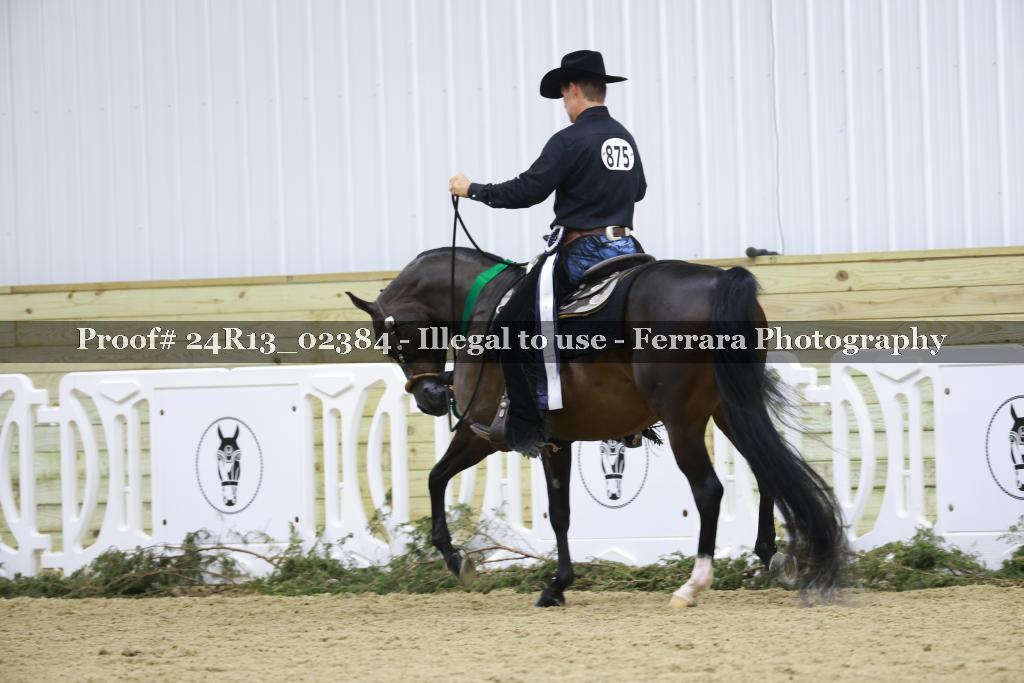 Proof 24R13_02384