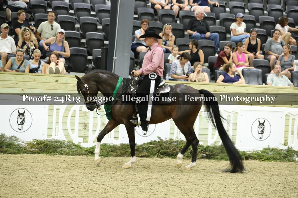Proof 24R13_02390