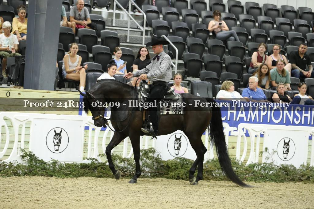 Proof 24R13_02409