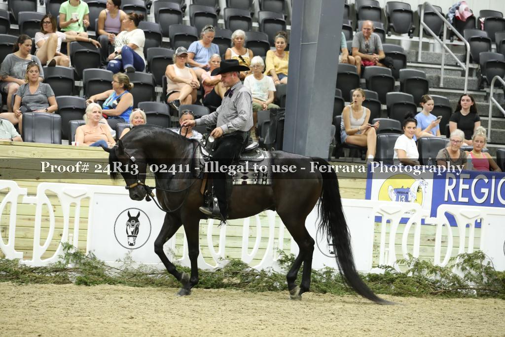 Proof 24R13_02411
