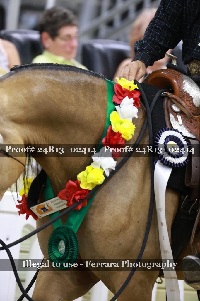 Proof 24R13_02414