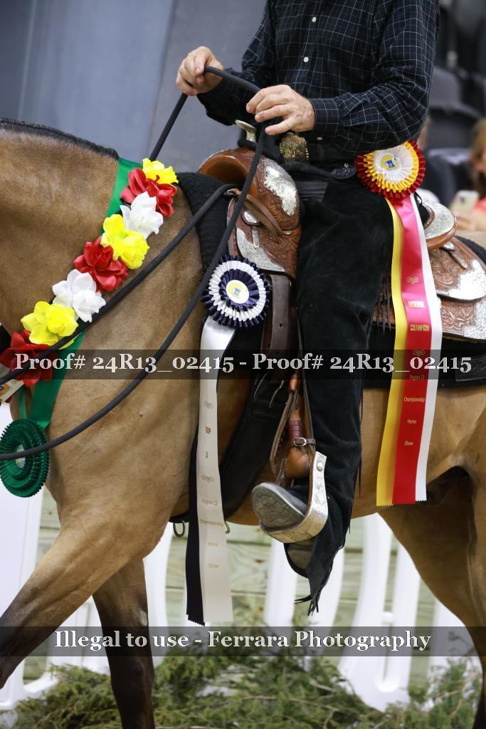 Proof 24R13_02415