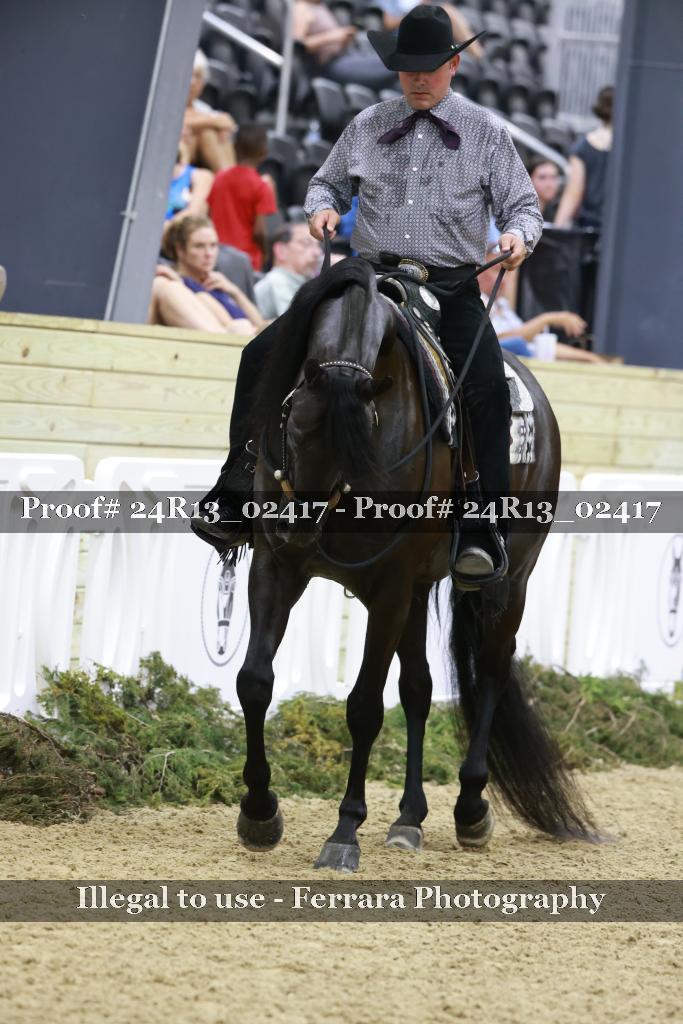 Proof 24R13_02417