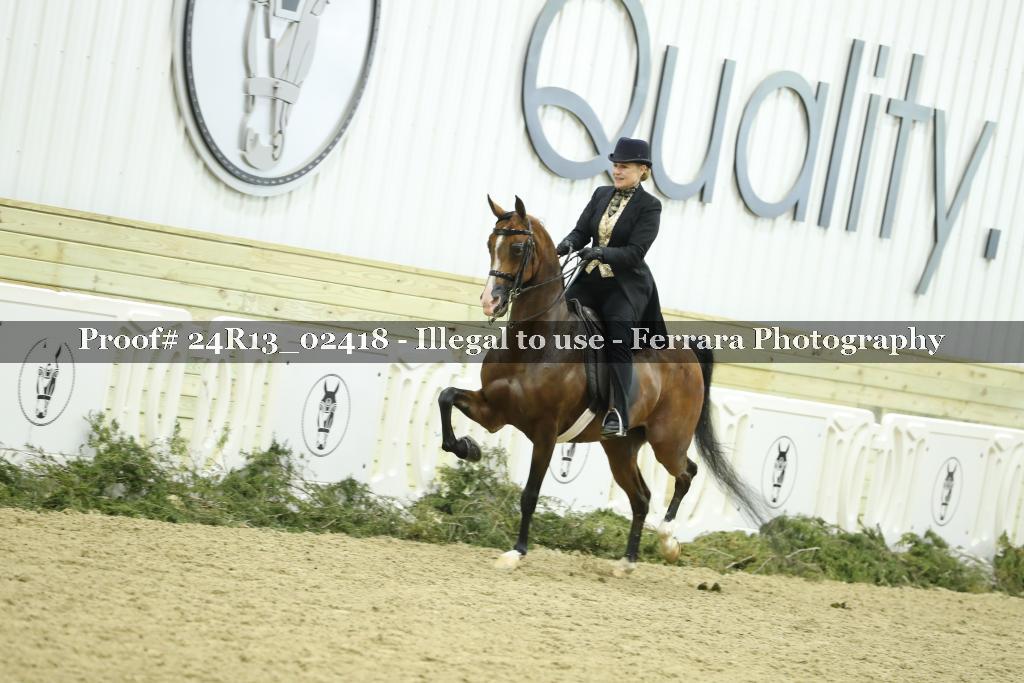 Proof 24R13_02418