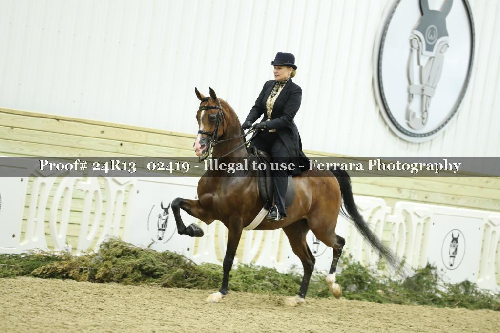 Proof 24R13_02419
