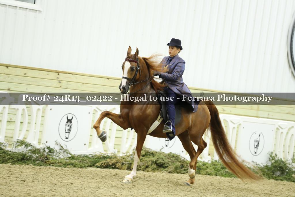 Proof 24R13_02422