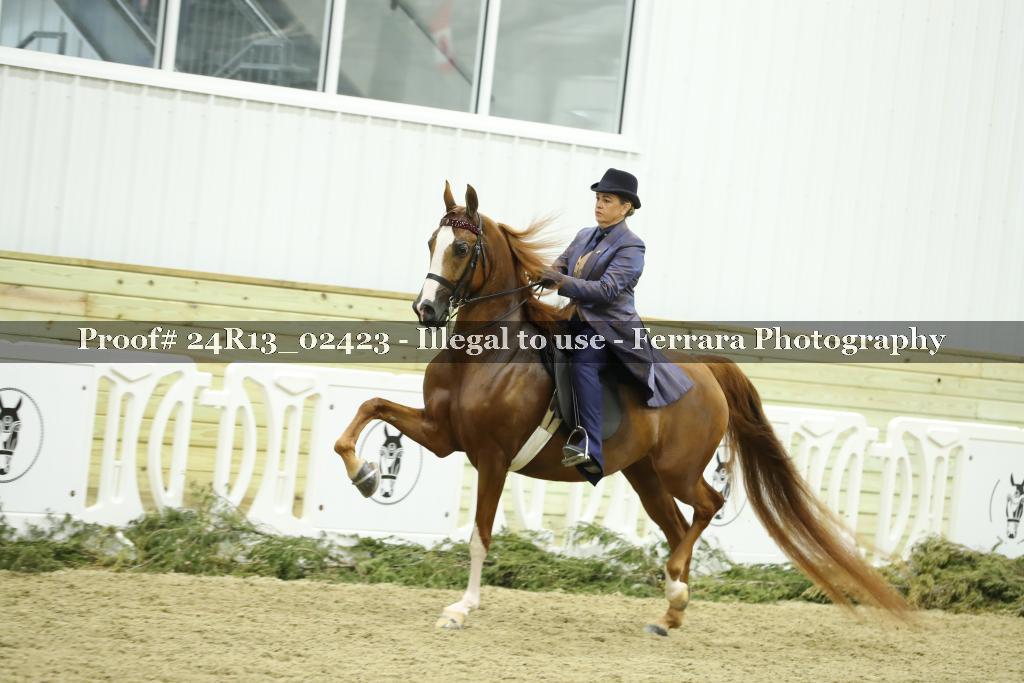 Proof 24R13_02423