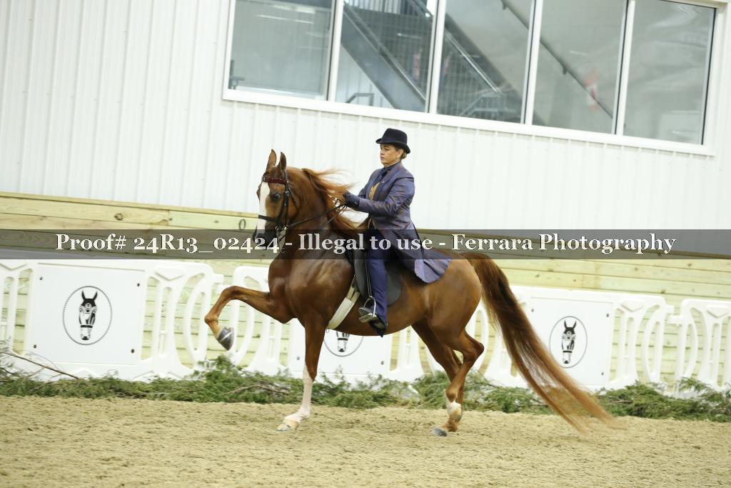 Proof 24R13_02424