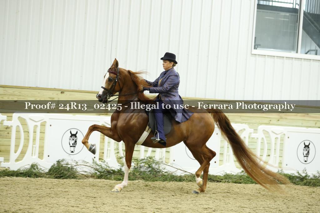 Proof 24R13_02425