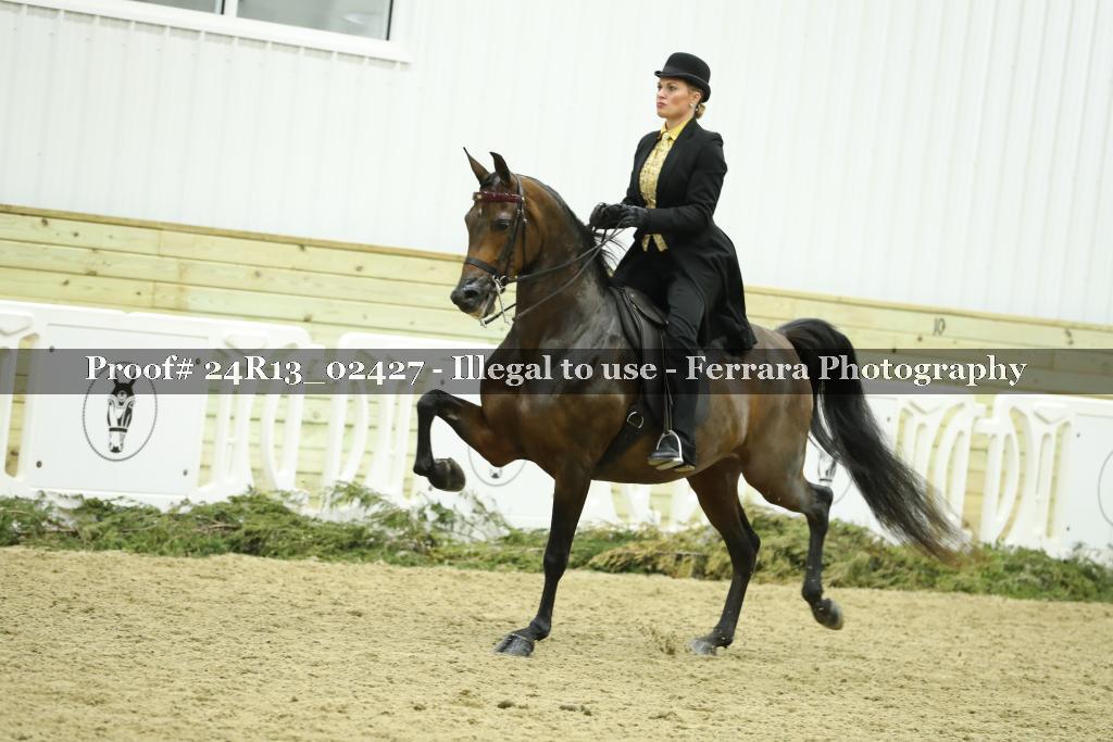 Proof 24R13_02427