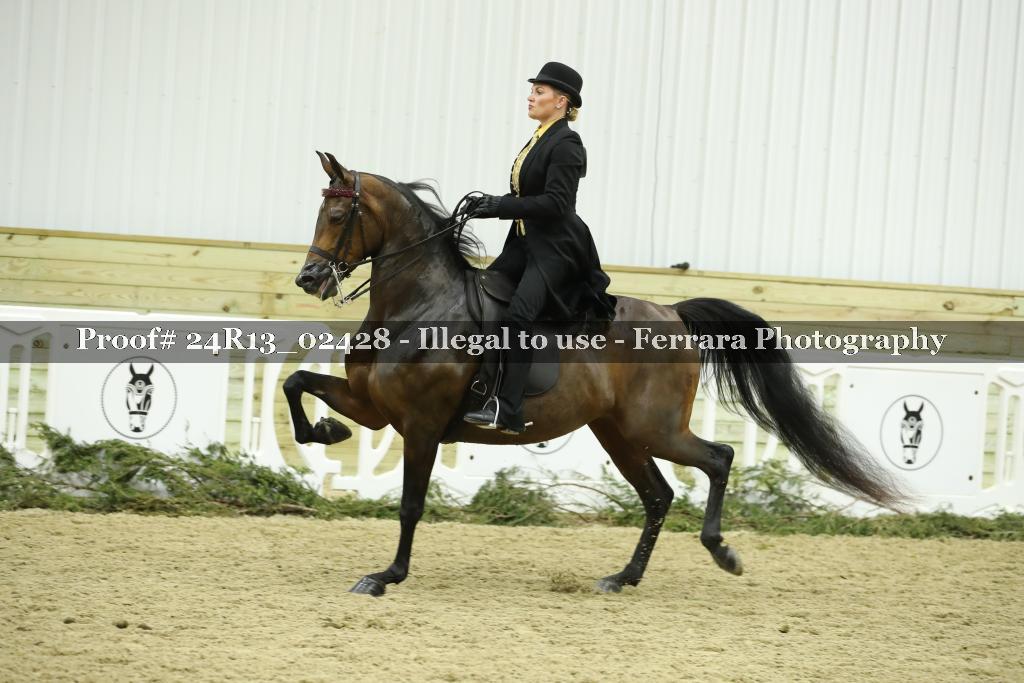 Proof 24R13_02428