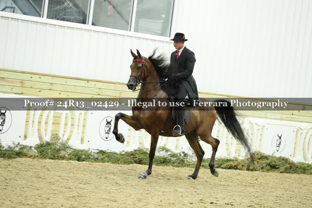 Proof 24R13_02429