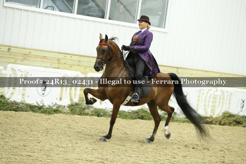 Proof 24R13_02431