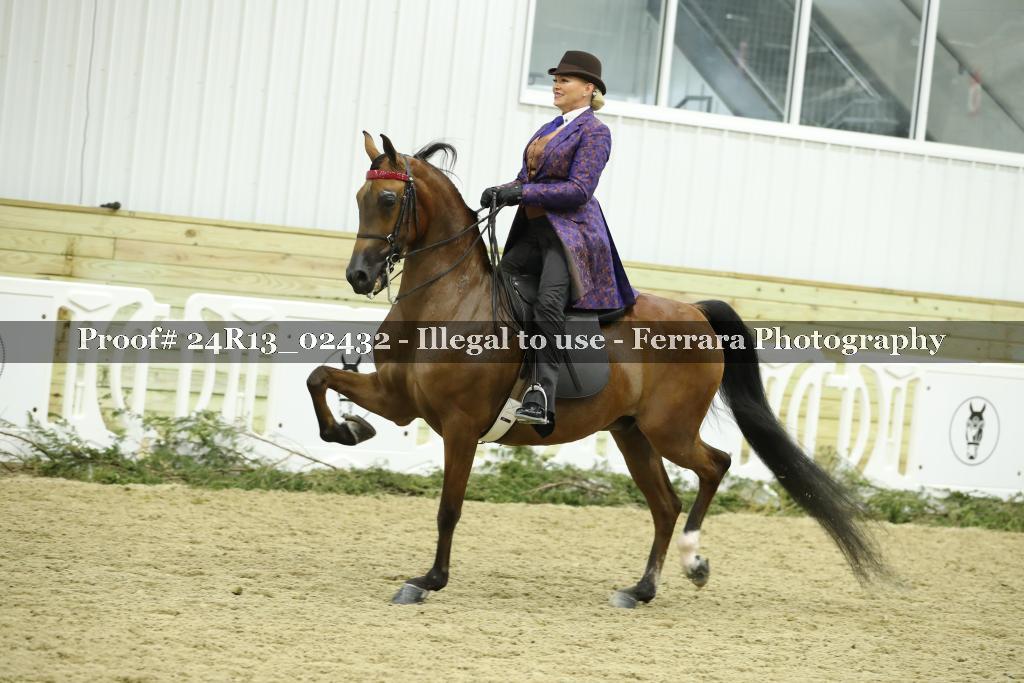 Proof 24R13_02432