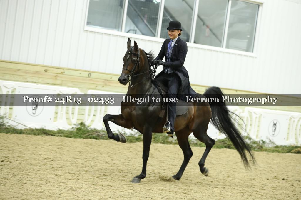 Proof 24R13_02433