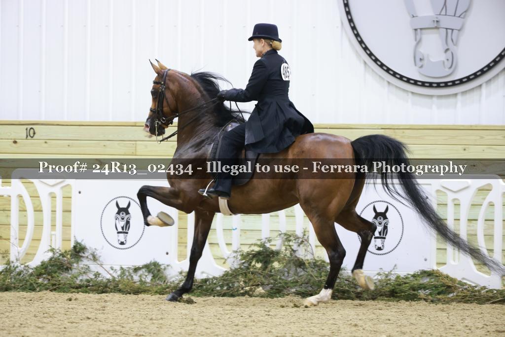 Proof 24R13_02434