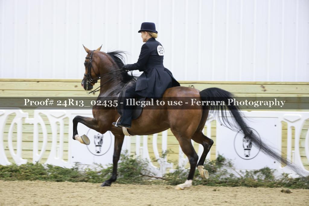 Proof 24R13_02435