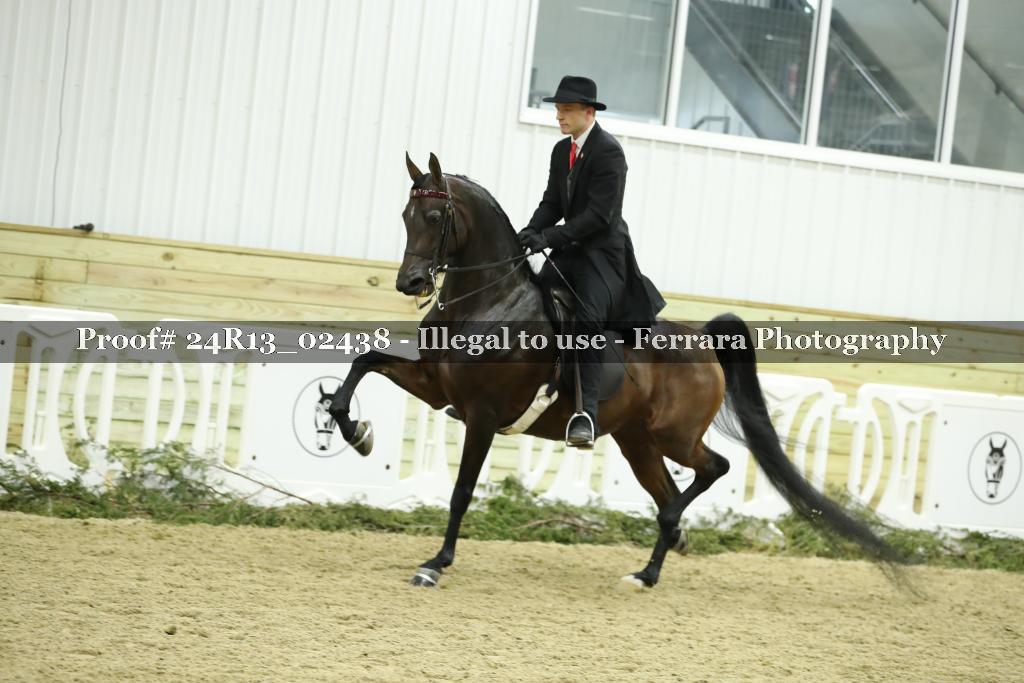 Proof 24R13_02438