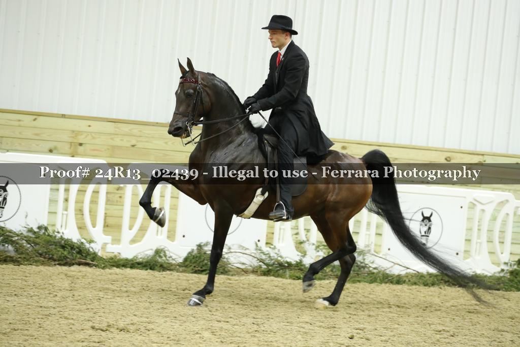 Proof 24R13_02439