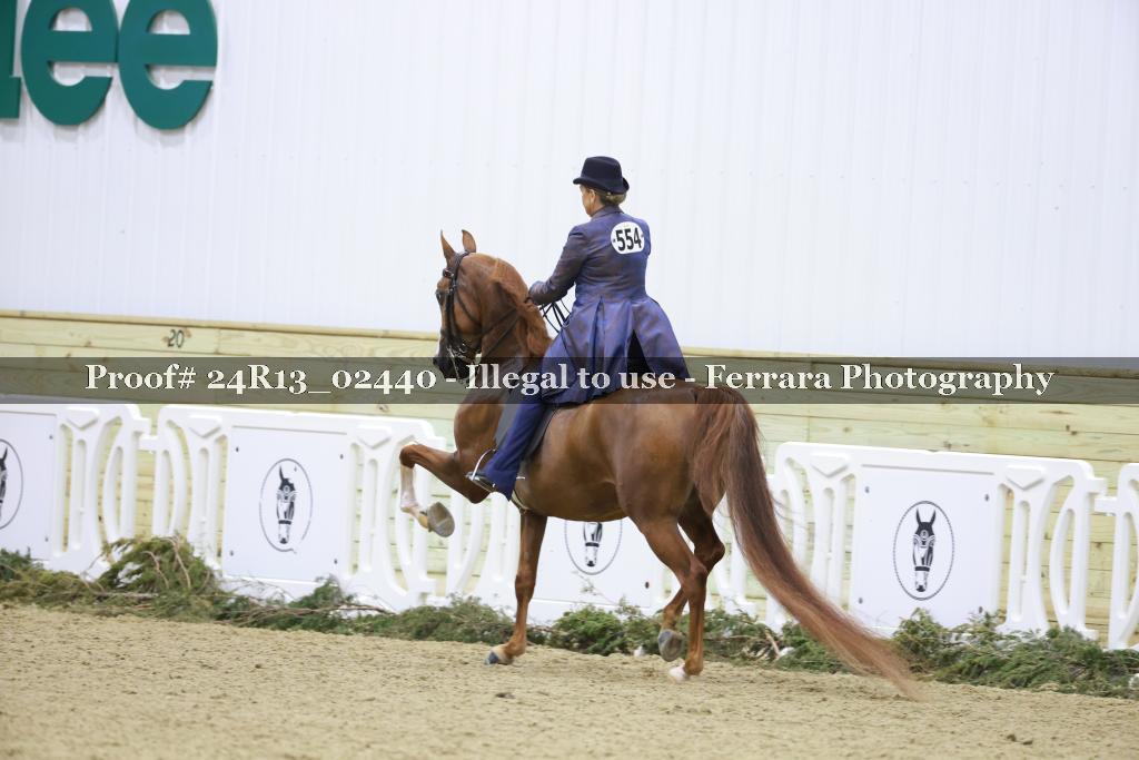 Proof 24R13_02440