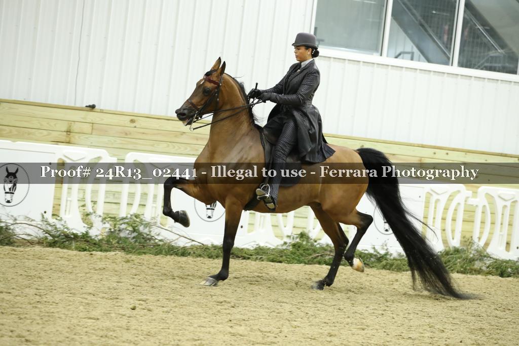 Proof 24R13_02441