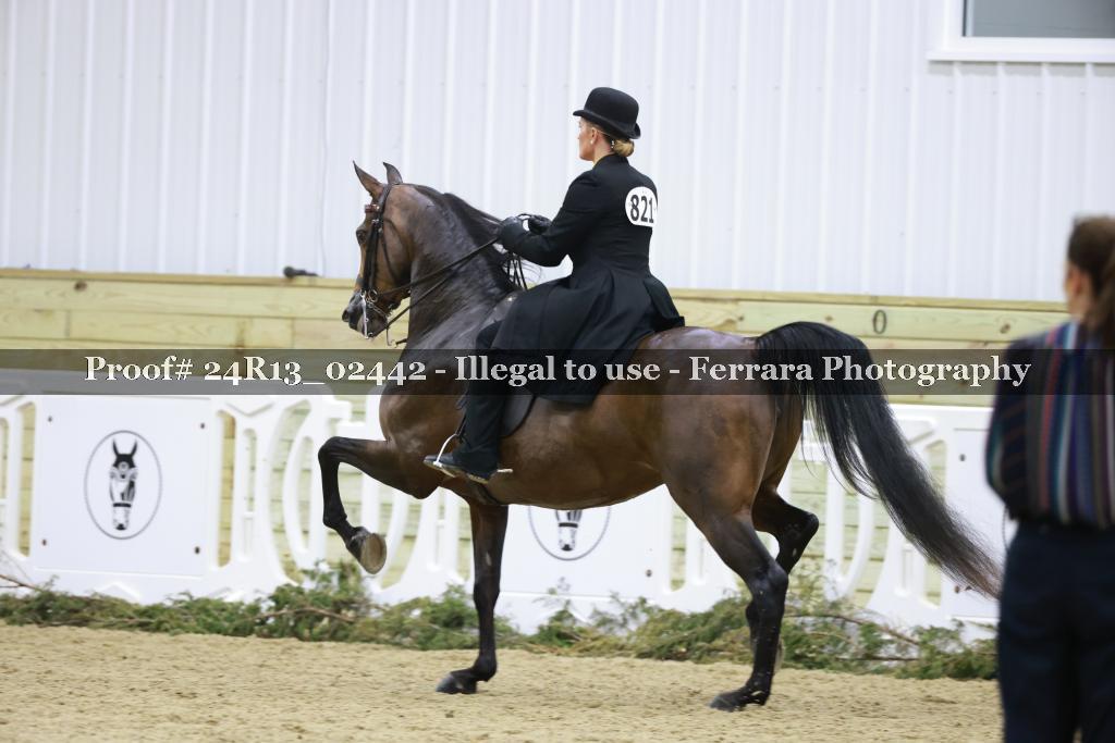 Proof 24R13_02442