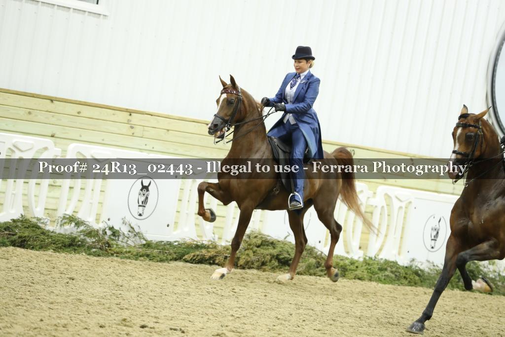 Proof 24R13_02443