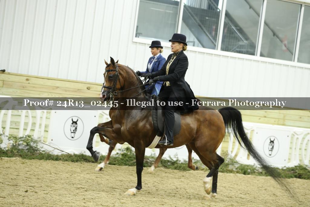 Proof 24R13_02445