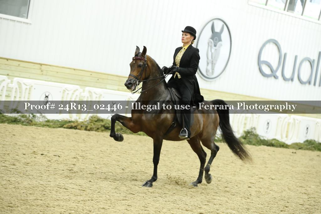 Proof 24R13_02446