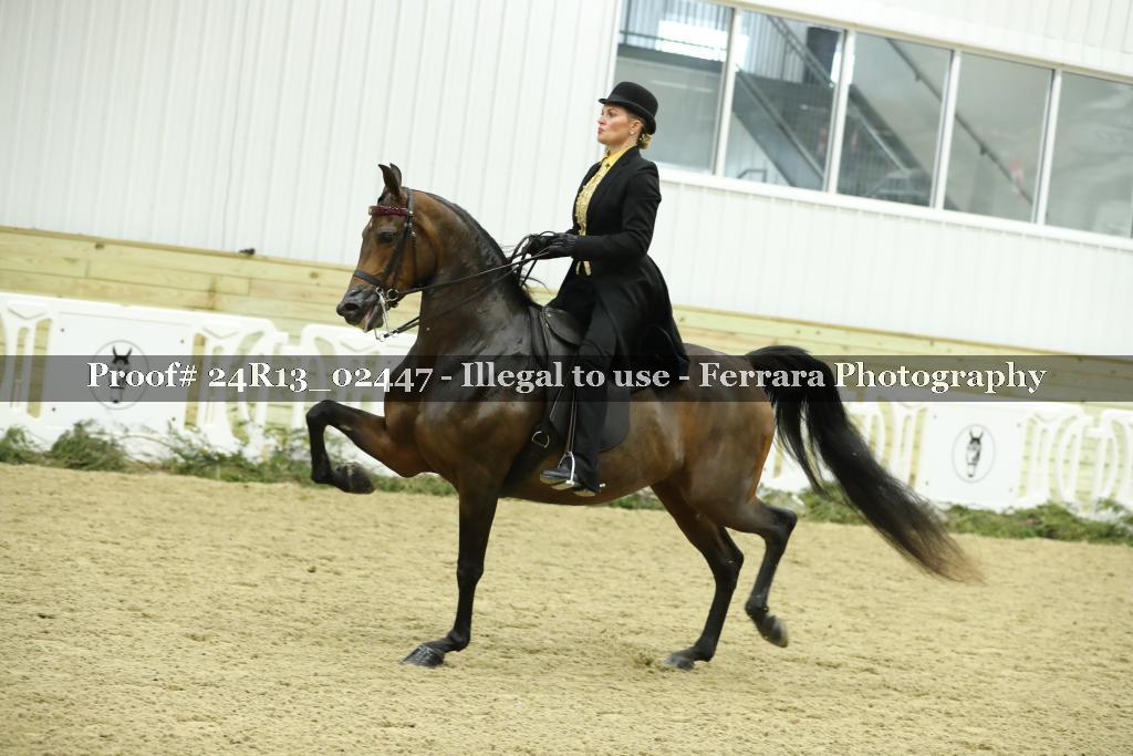 Proof 24R13_02447